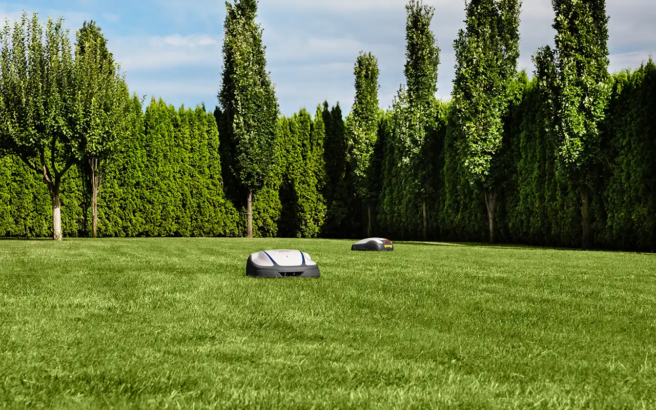 Honda Miimo robotgräsklippare klipper stora gräsytor